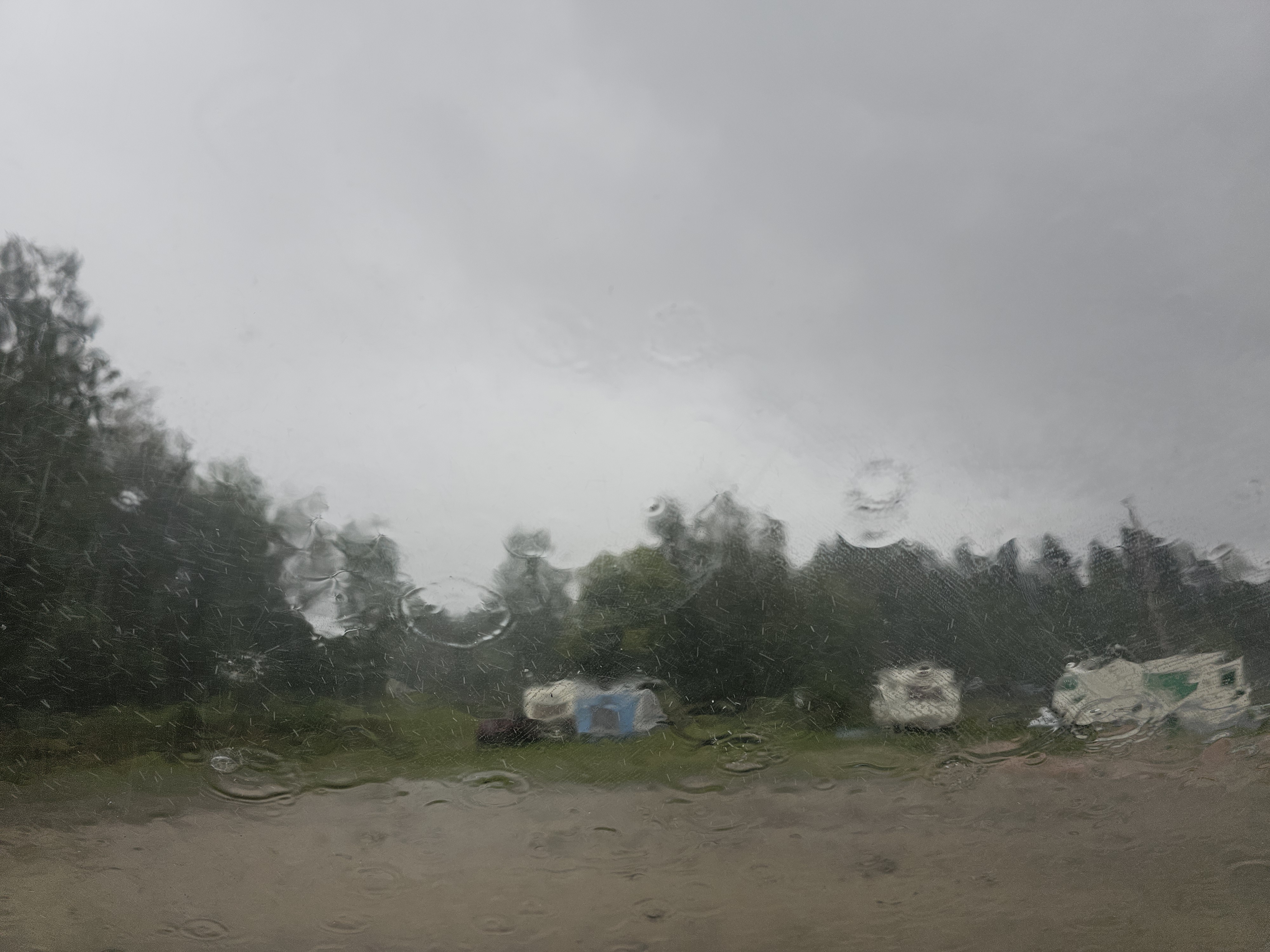 Regen kam