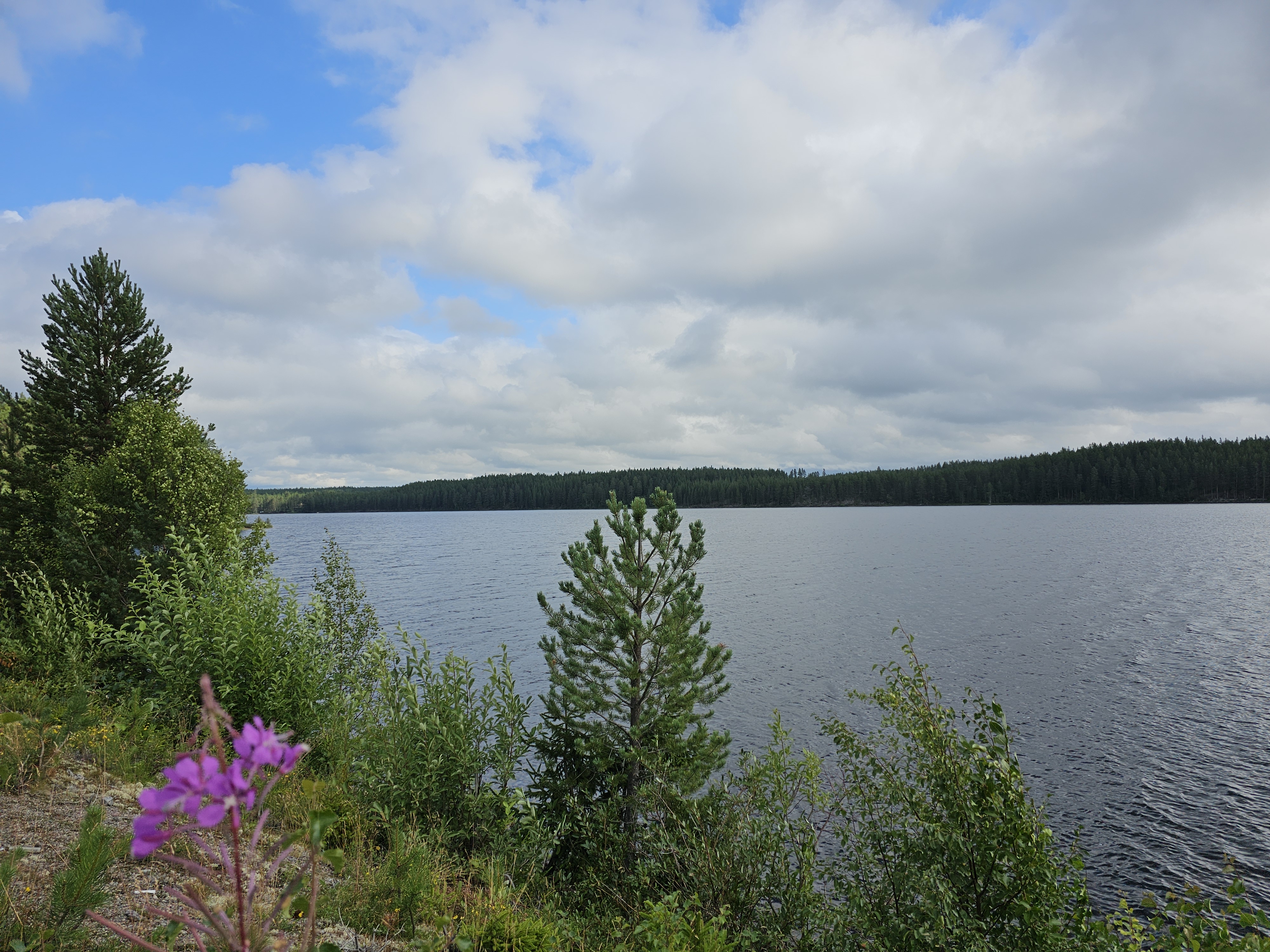 Blick auf den Älrosfjorden
