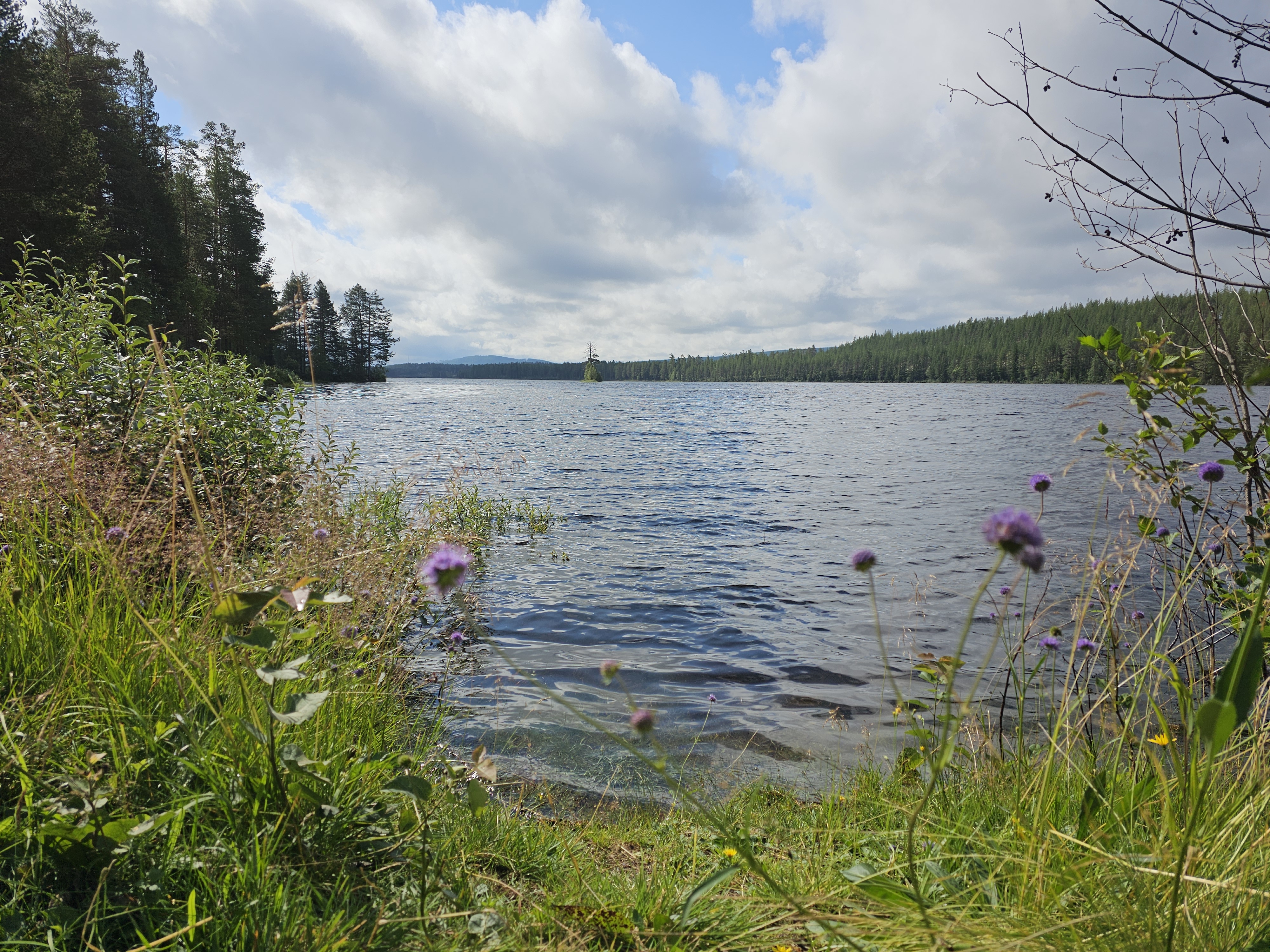 Blick auf den Älrosfjorden