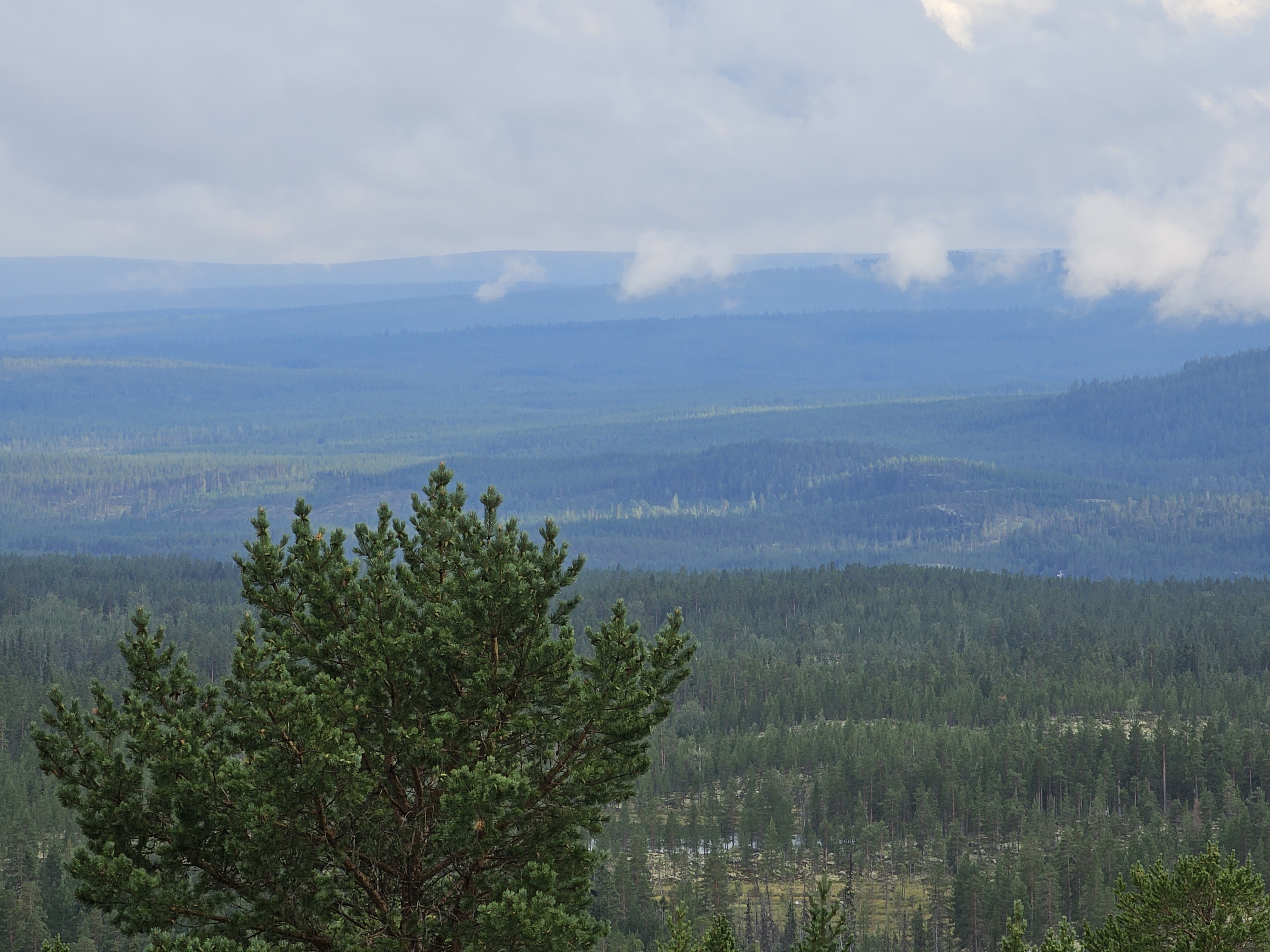Blick auf die Berge