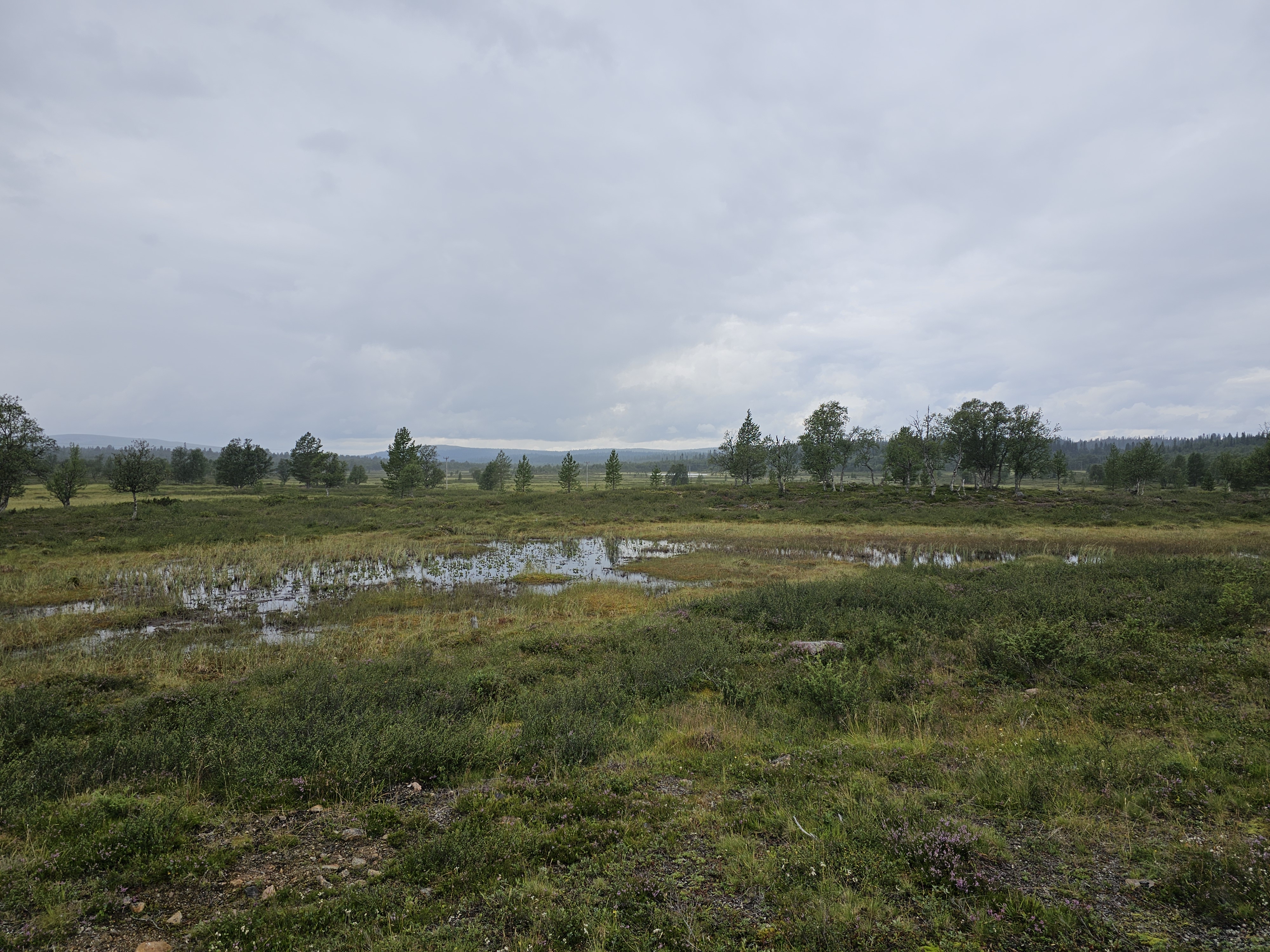Landschaft