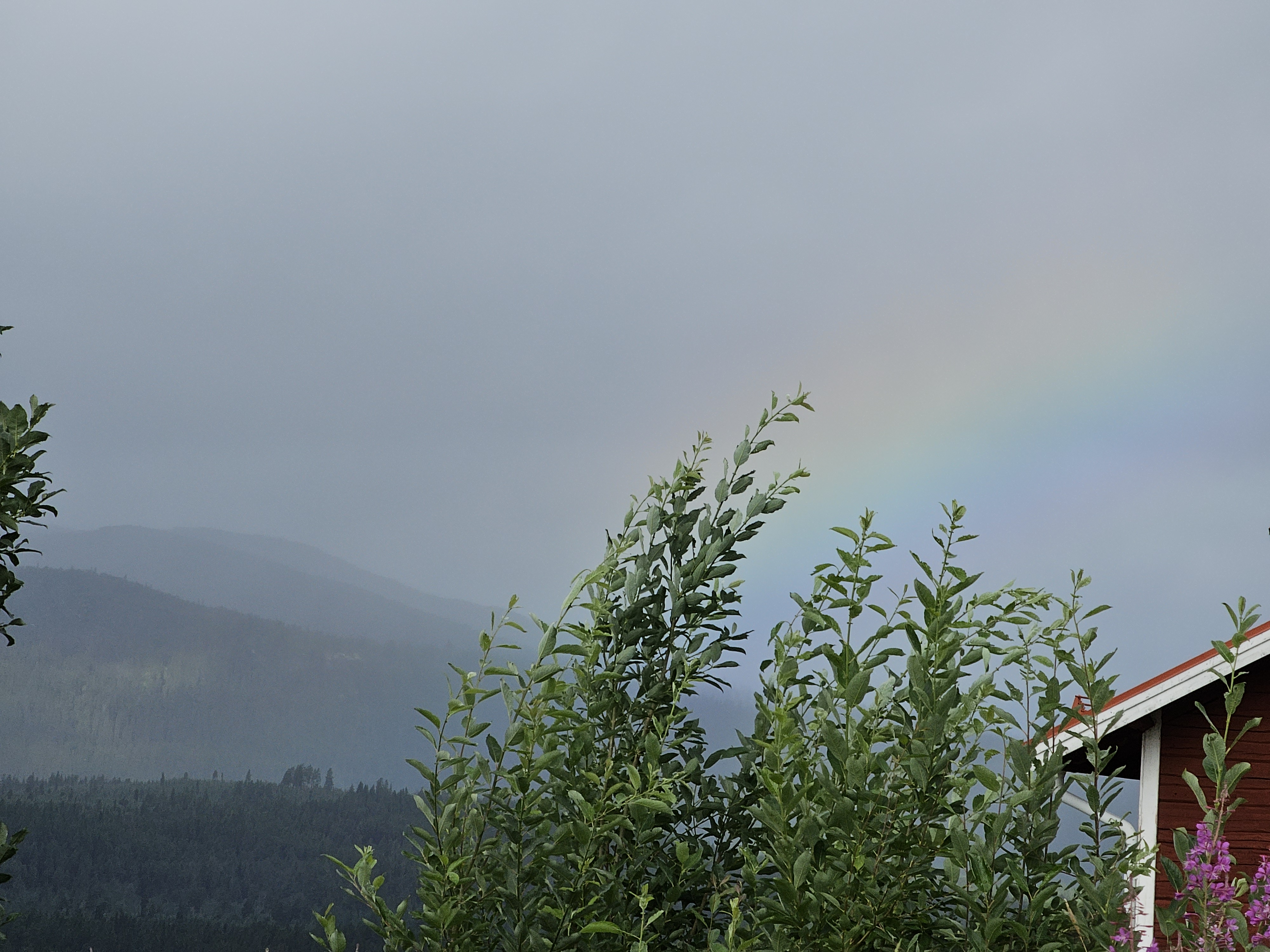 Regenbogen