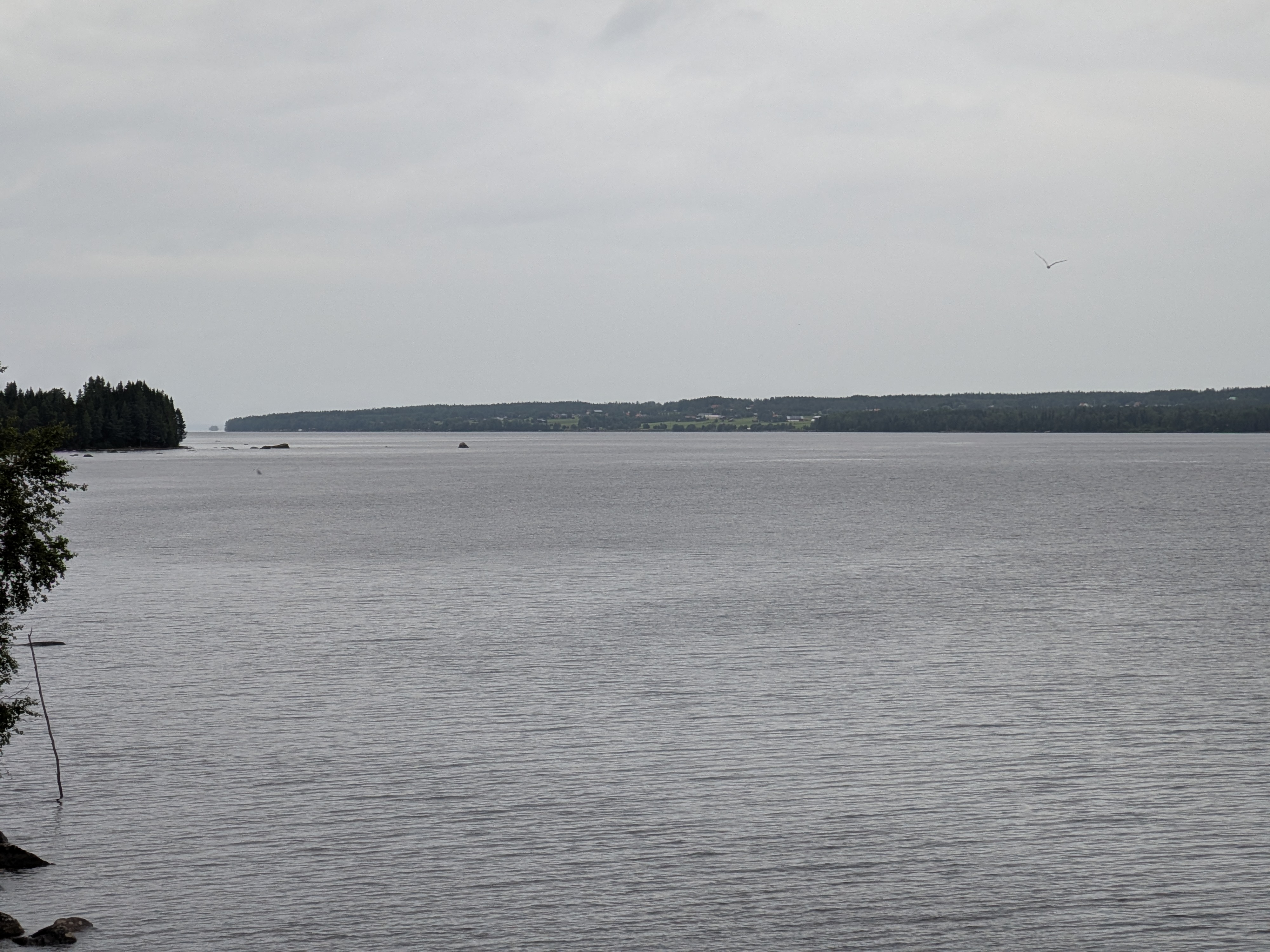 Blick von Brücke auf den See