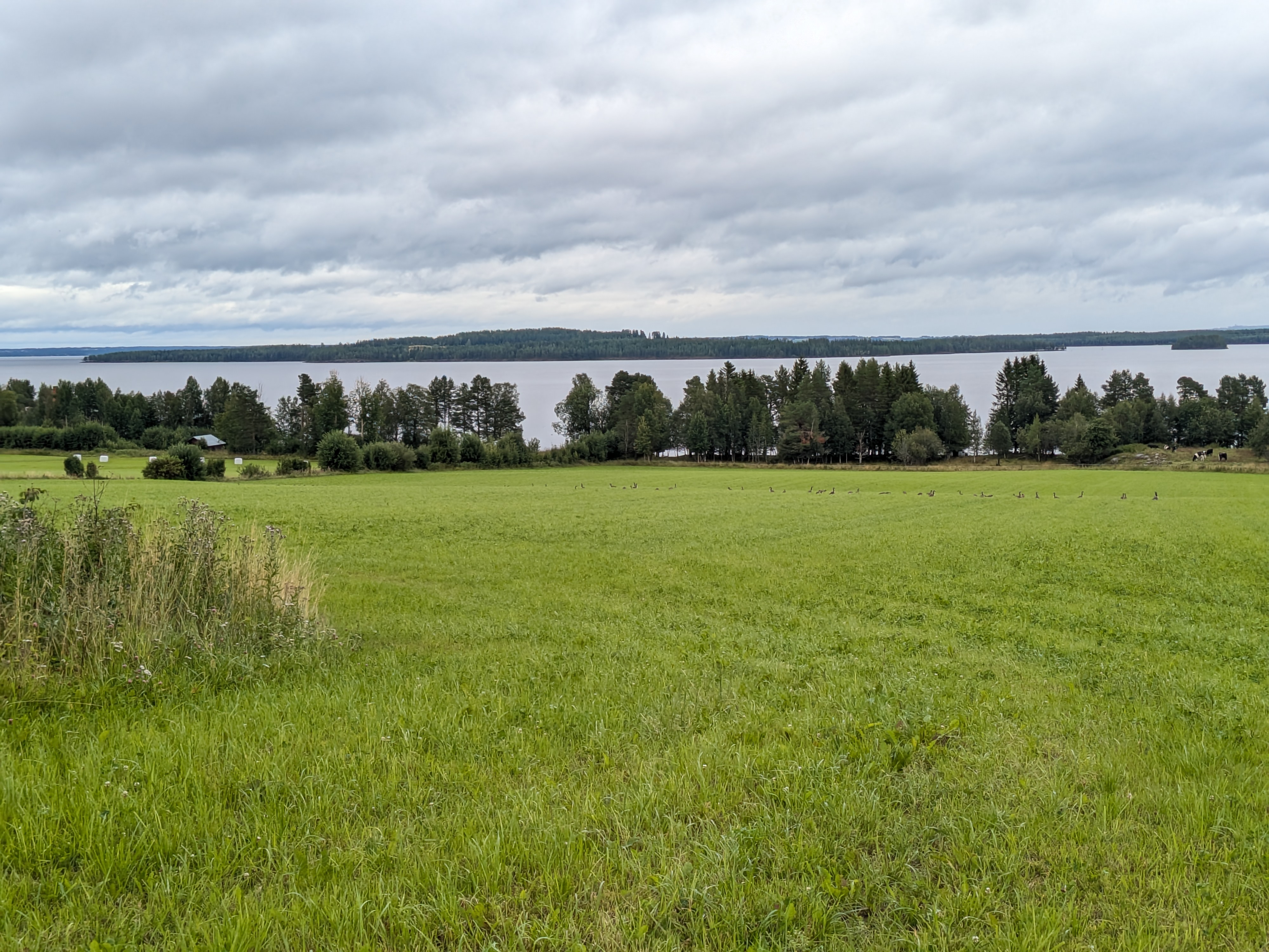 Blick auf Storsjön