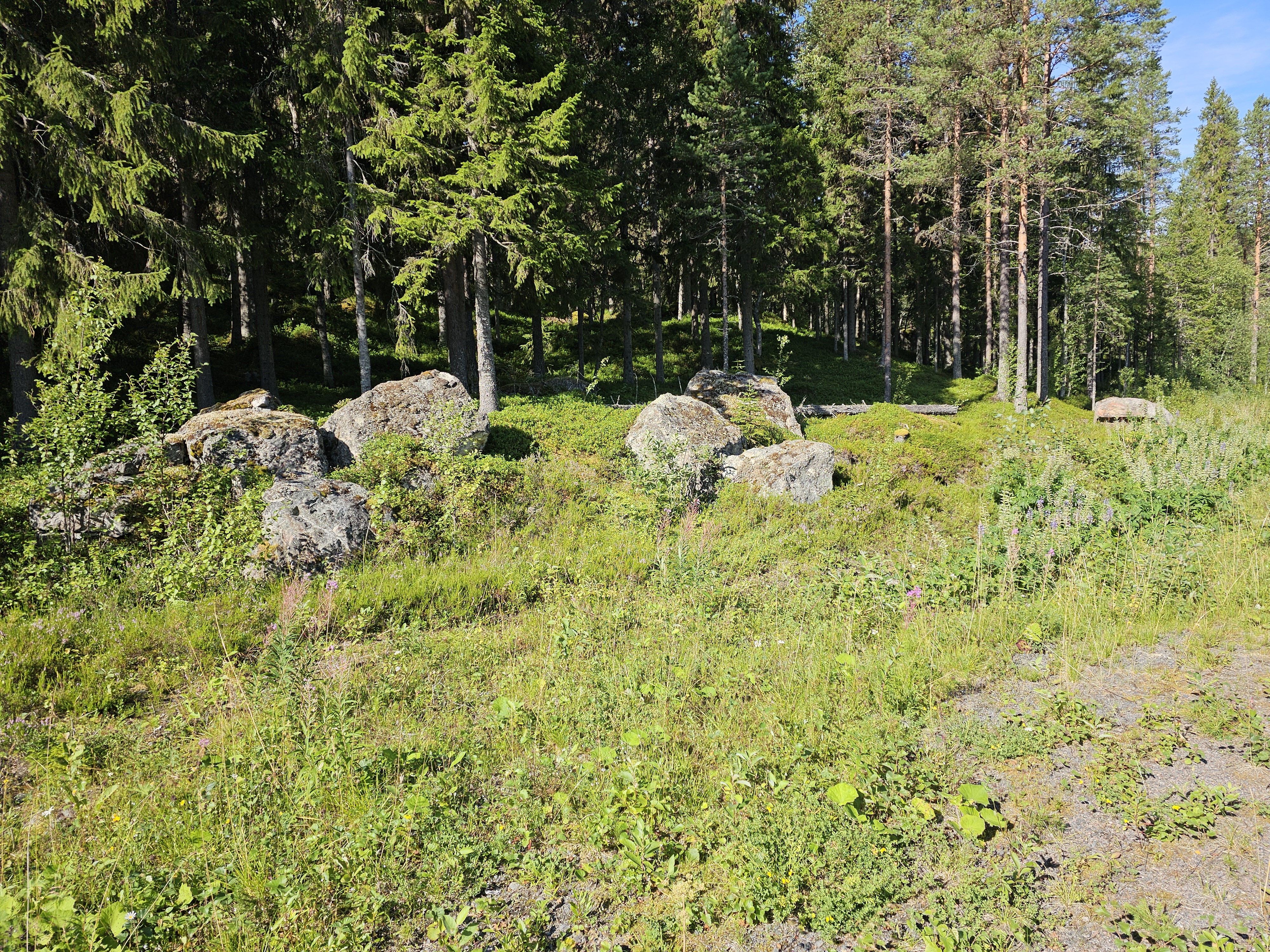 Felsen