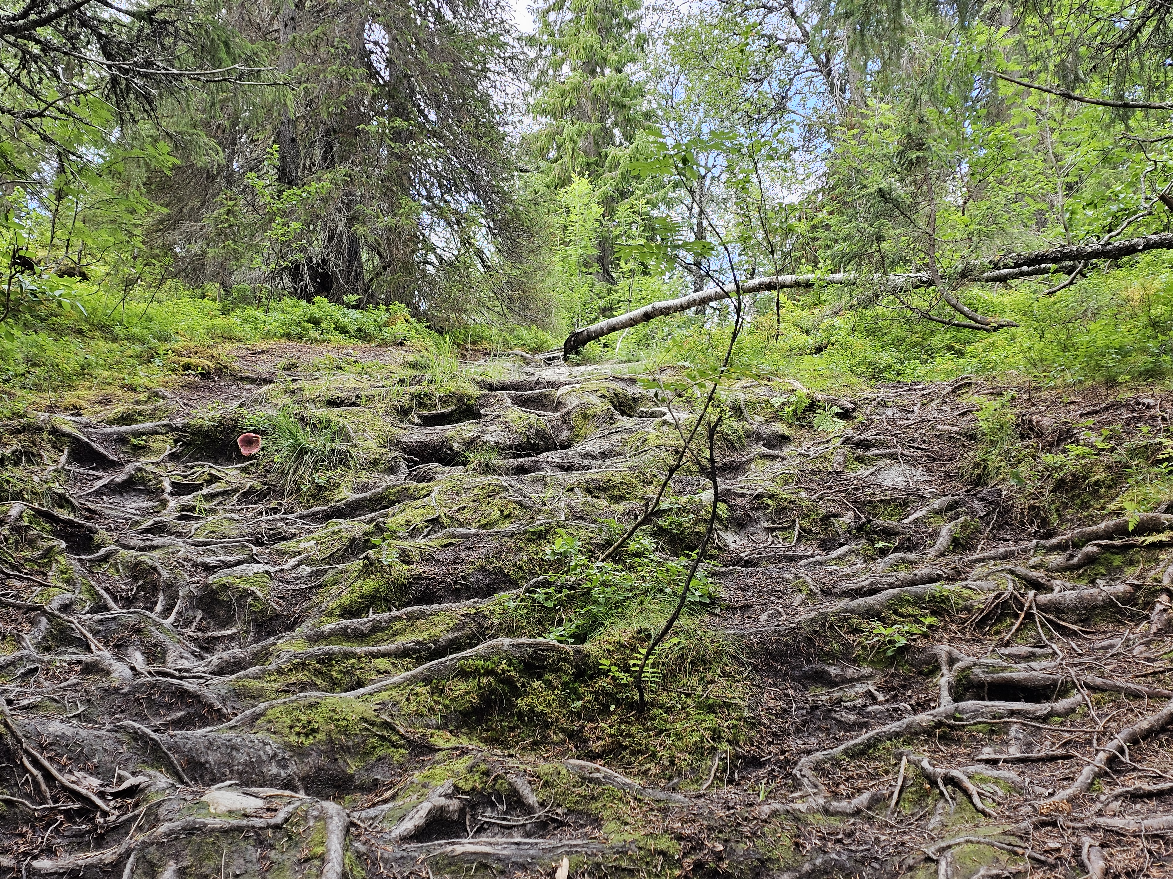 Aufstieg Wasserfall