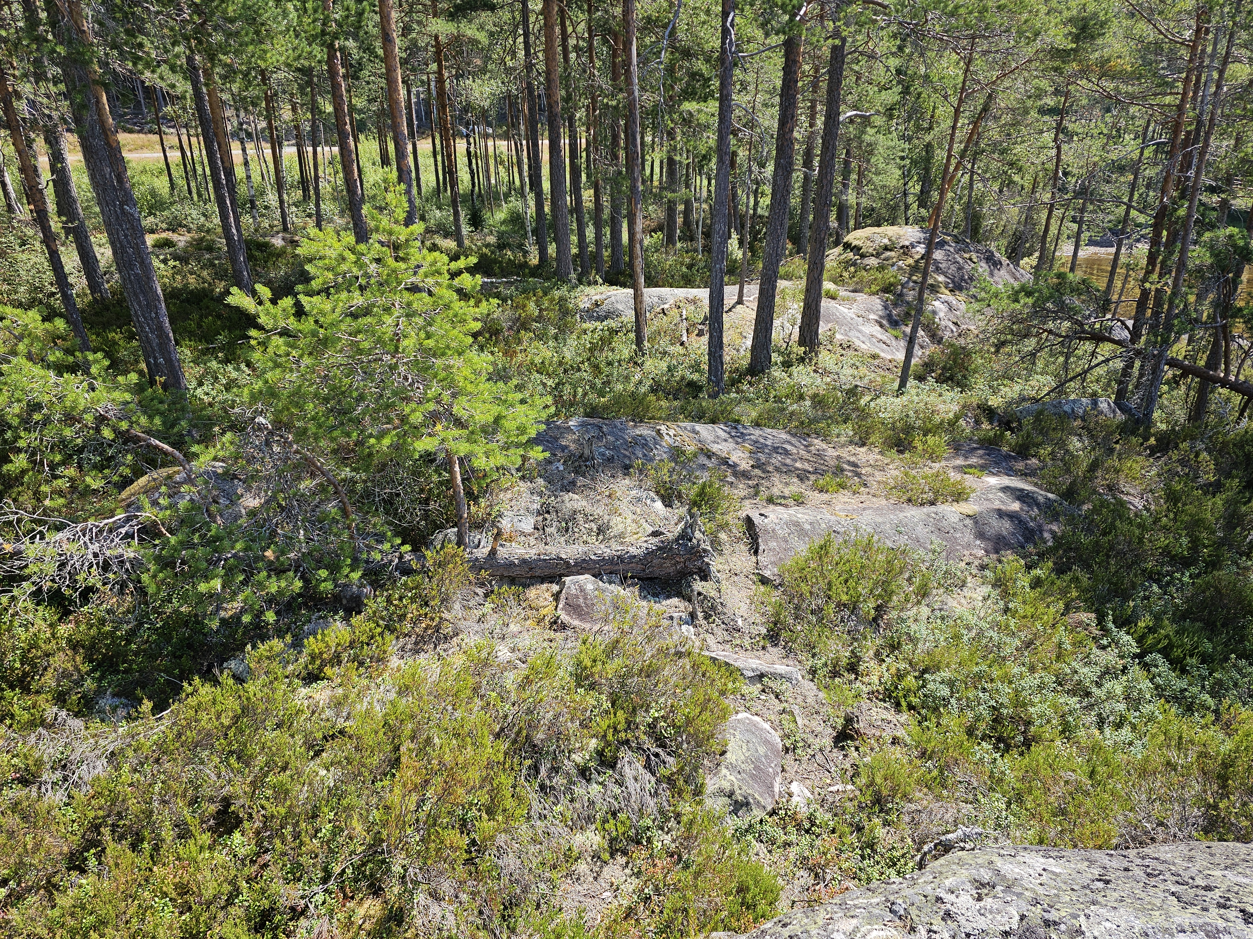 Weg zum Fels