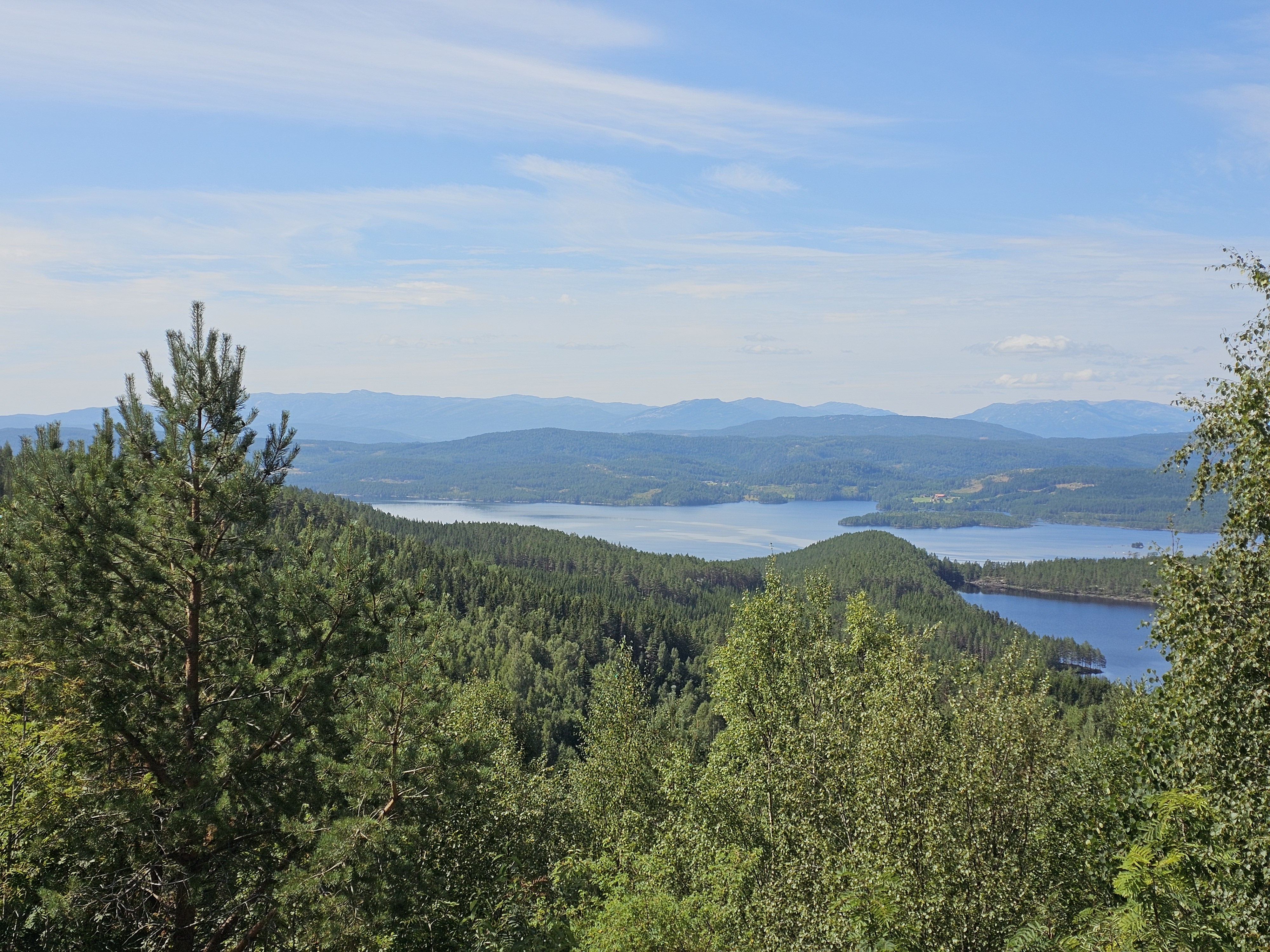Grüne Landschaft mit See