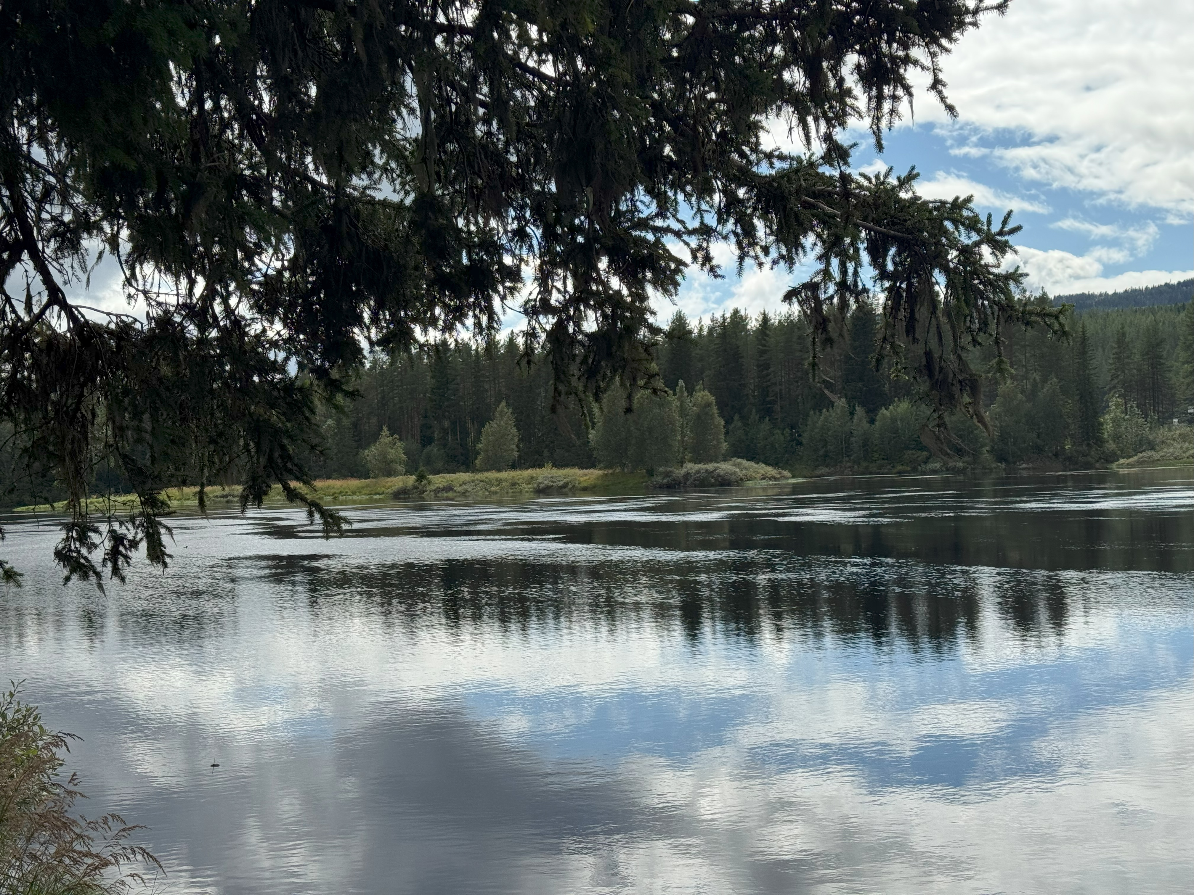 Blick auf den Klarälven